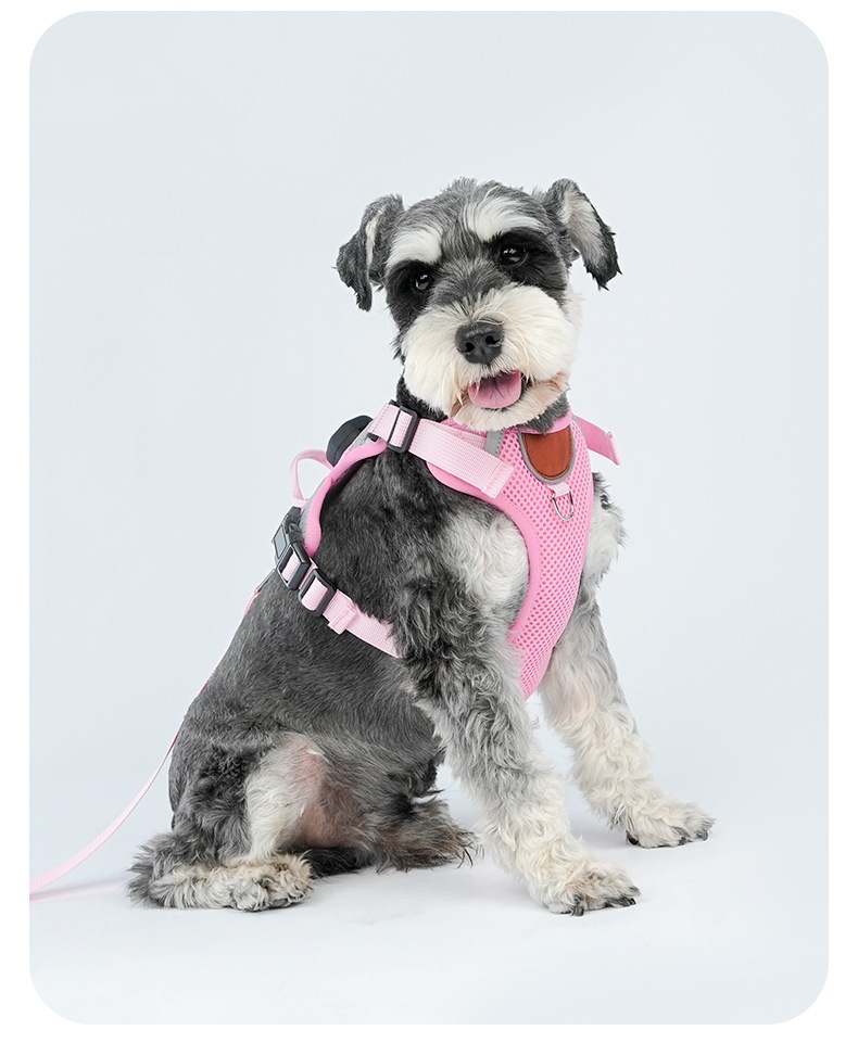 Breathable Mesh Dog Harness with AirTag Holder & Leash Set