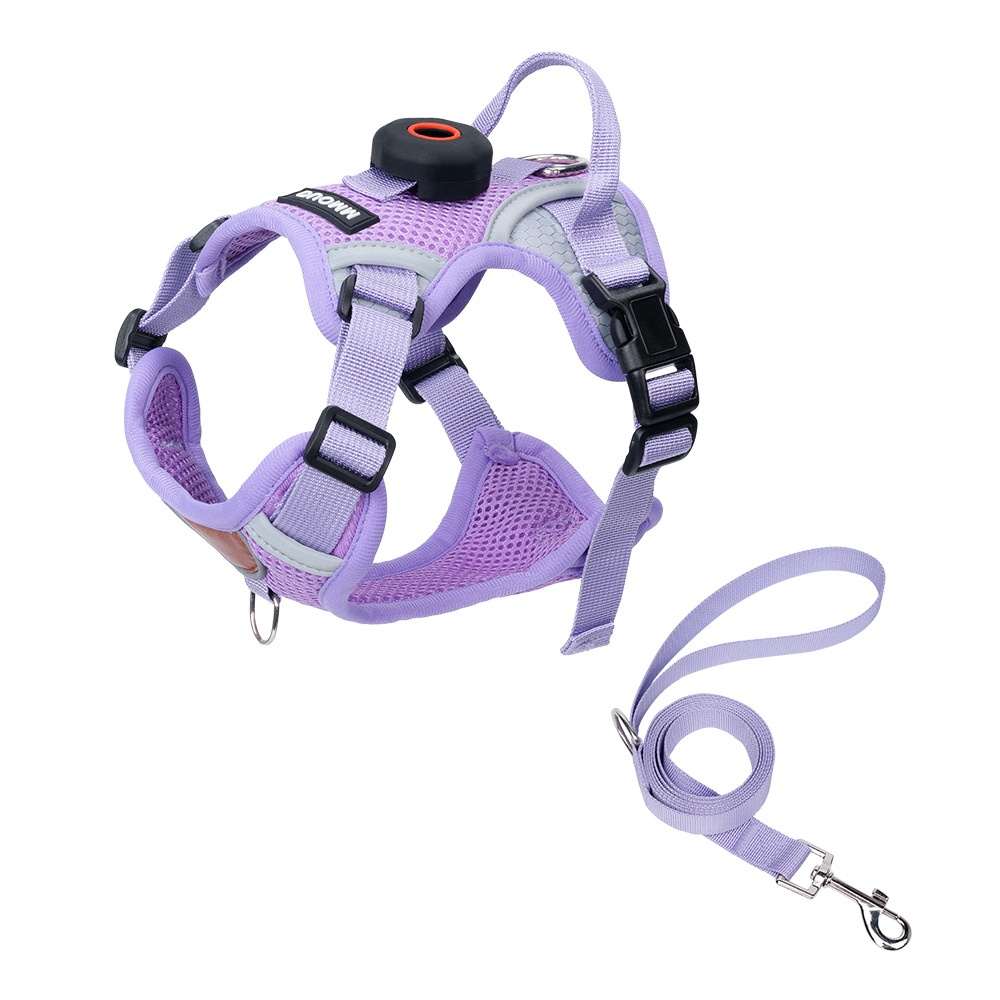 Breathable Mesh Dog Harness with AirTag Holder & Leash Set