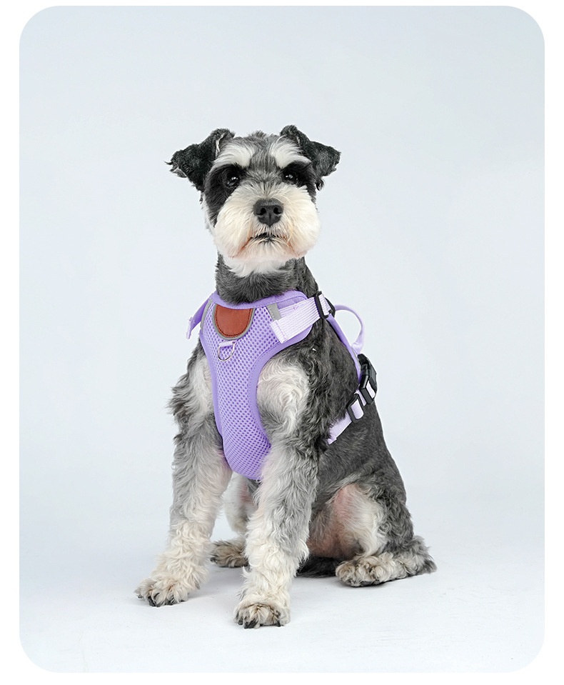 Breathable Mesh Dog Harness with AirTag Holder & Leash Set