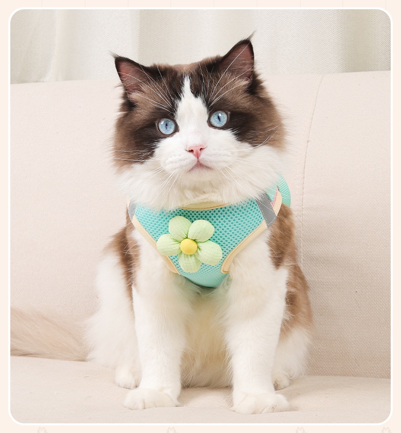 Cute Flower Pet Harness & Leash Set - Breathable Mesh for Cats