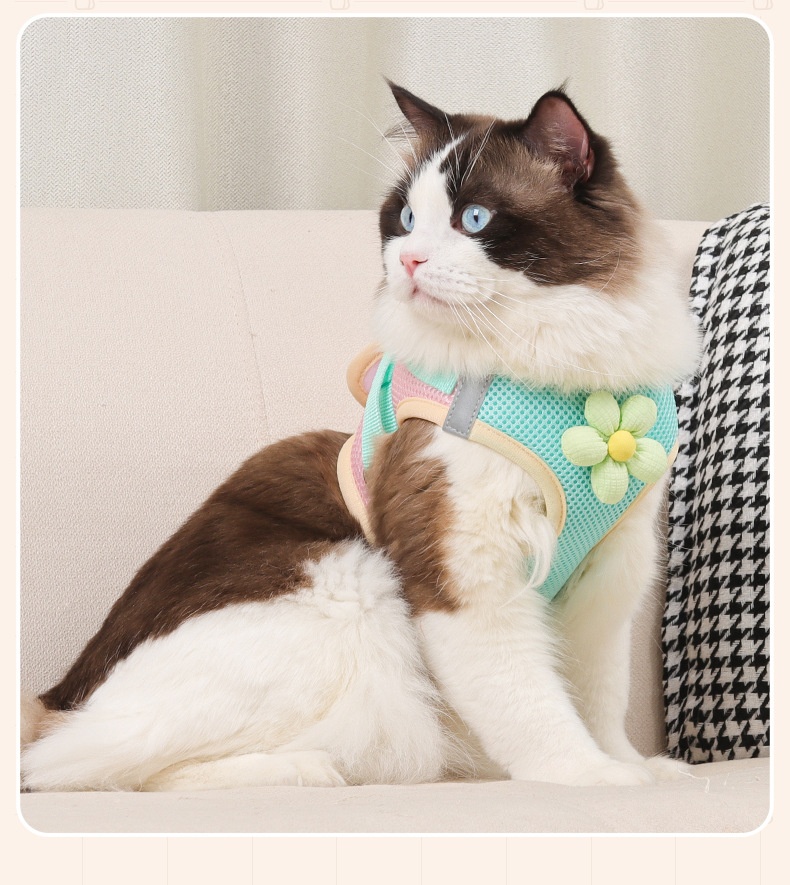 Cute Flower Pet Harness & Leash Set - Breathable Mesh for Cats