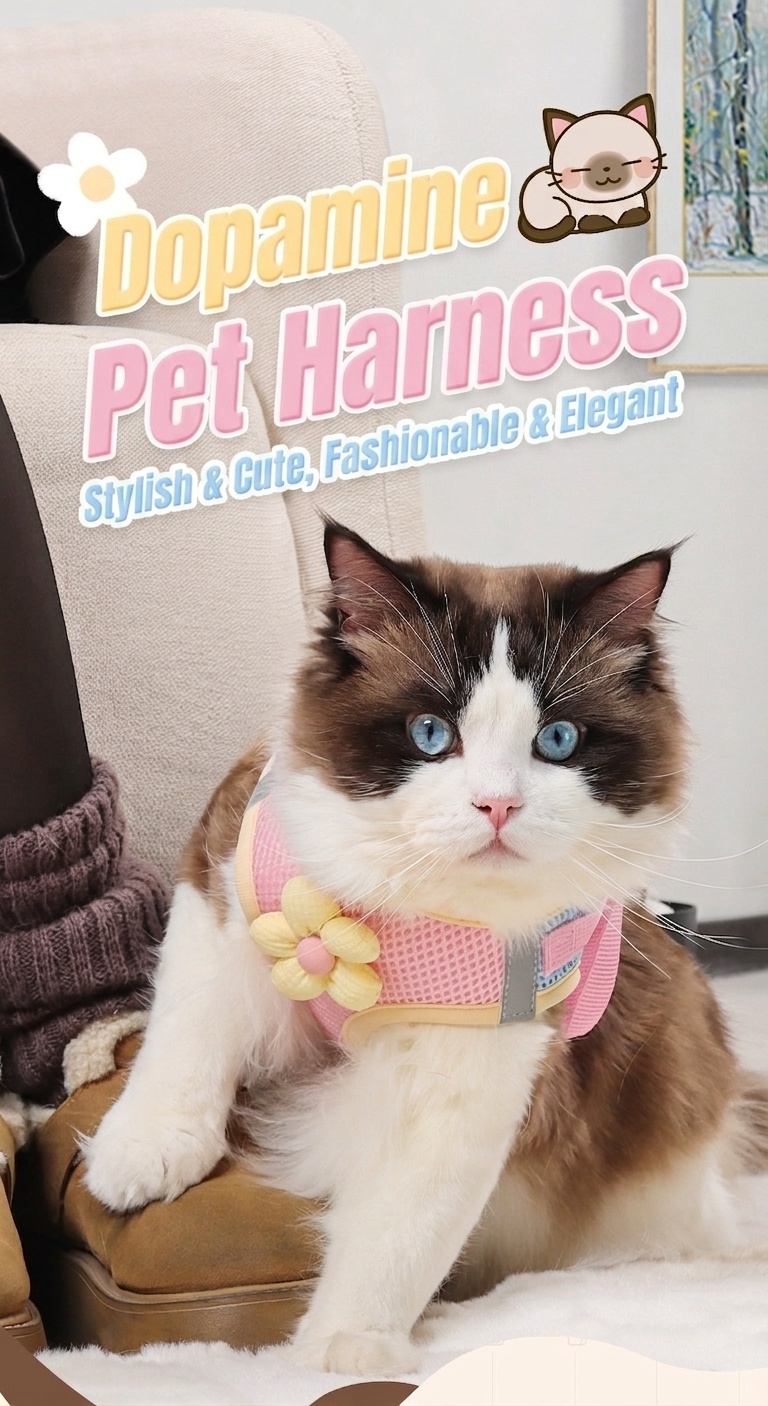 Cute Flower Pet Harness & Leash Set - Breathable Mesh for Cats