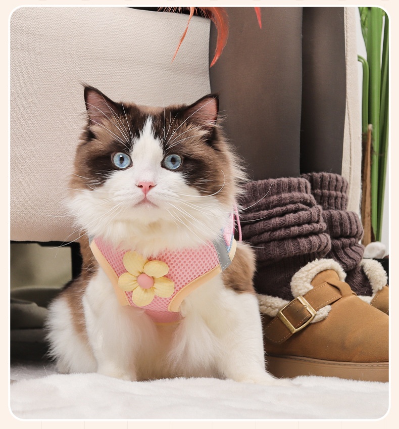 Cute Flower Pet Harness & Leash Set - Breathable Mesh for Cats