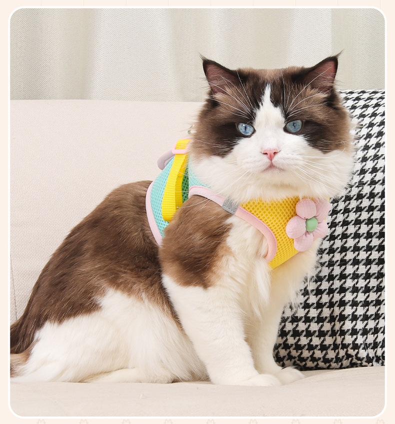 Cute Flower Pet Harness & Leash Set - Breathable Mesh for Cats