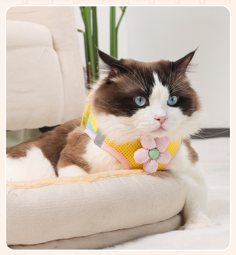 Cute Flower Pet Harness & Leash Set - Breathable Mesh for Cats