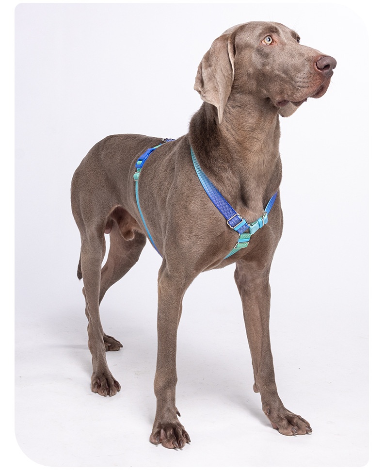 Comfort Fit Reflective Dog Harness - Adjustable No-Pull Design