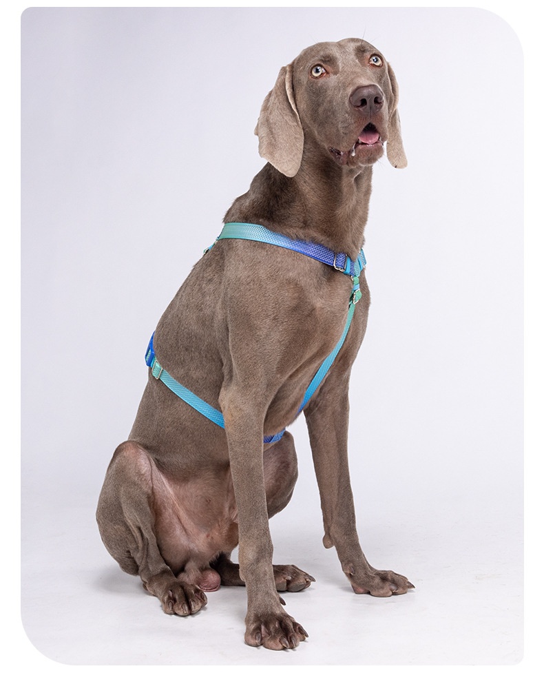 Comfort Fit Reflective Dog Harness - Adjustable No-Pull Design
