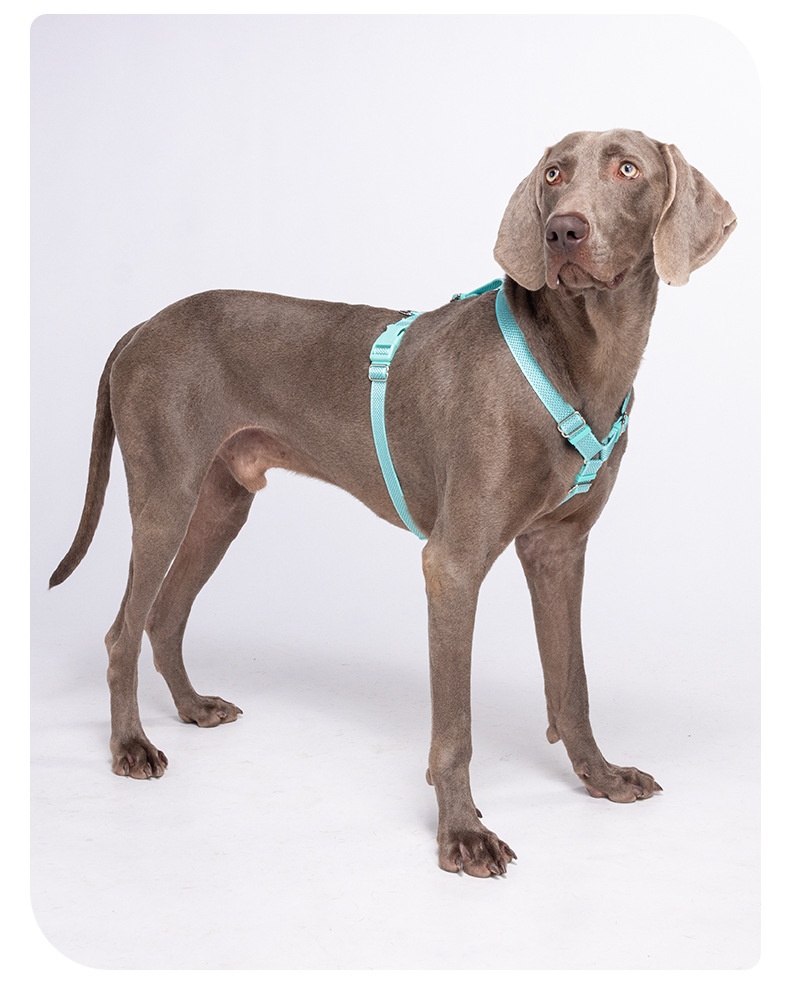 Comfort Fit Reflective Dog Harness - Adjustable No-Pull Design
