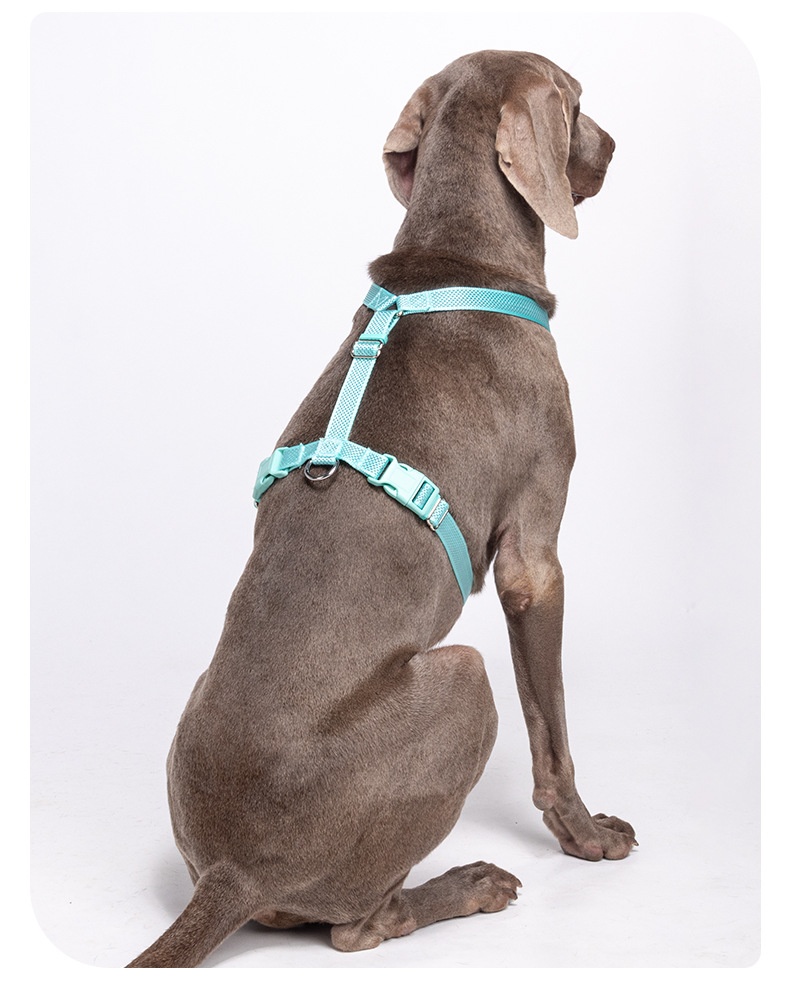 Comfort Fit Reflective Dog Harness - Adjustable No-Pull Design