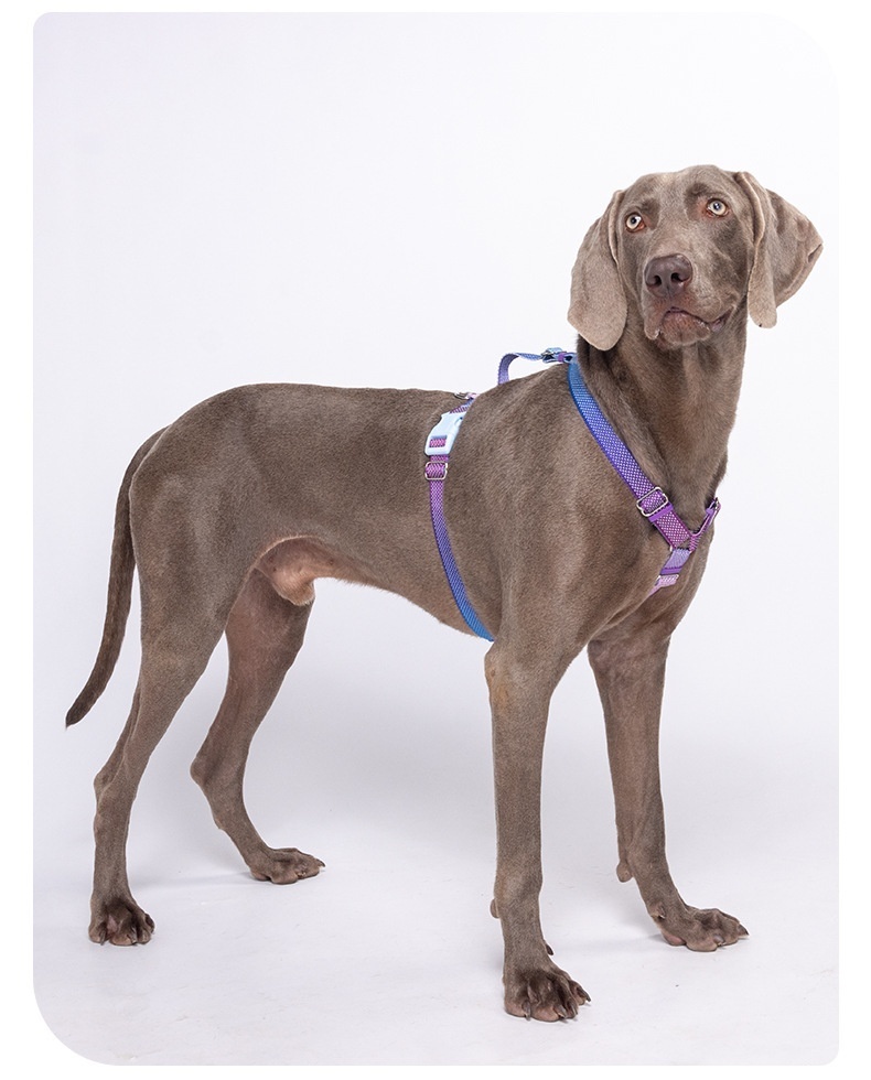 Comfort Fit Reflective Dog Harness - Adjustable No-Pull Design