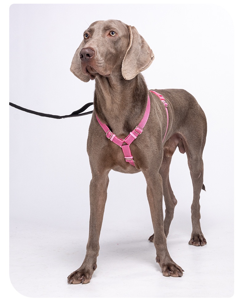 Comfort Fit Reflective Dog Harness - Adjustable No-Pull Design