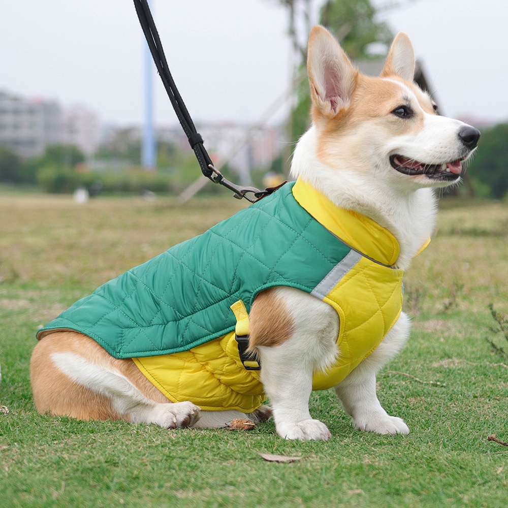 Warm Quilted Dog Coat with Reflective Trim & Adjustable Fit