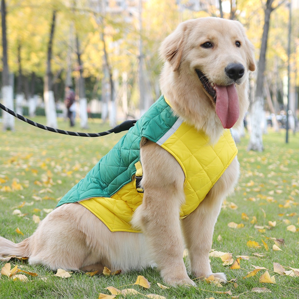 Warm Quilted Dog Coat with Reflective Trim & Adjustable Fit
