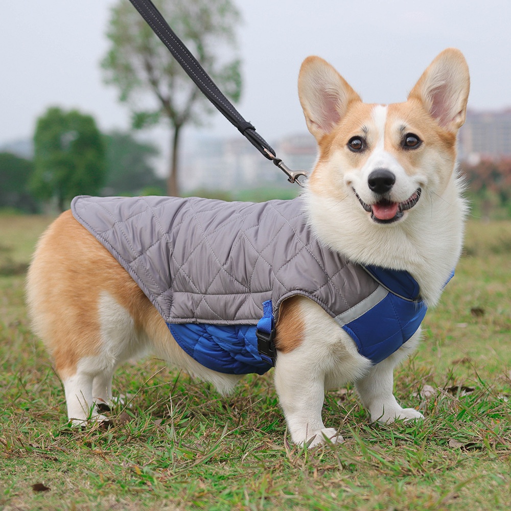 Warm Quilted Dog Coat with Reflective Trim & Adjustable Fit