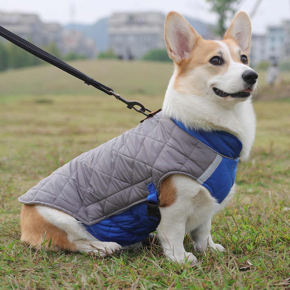 Warm Quilted Dog Coat with Reflective Trim & Adjustable Fit