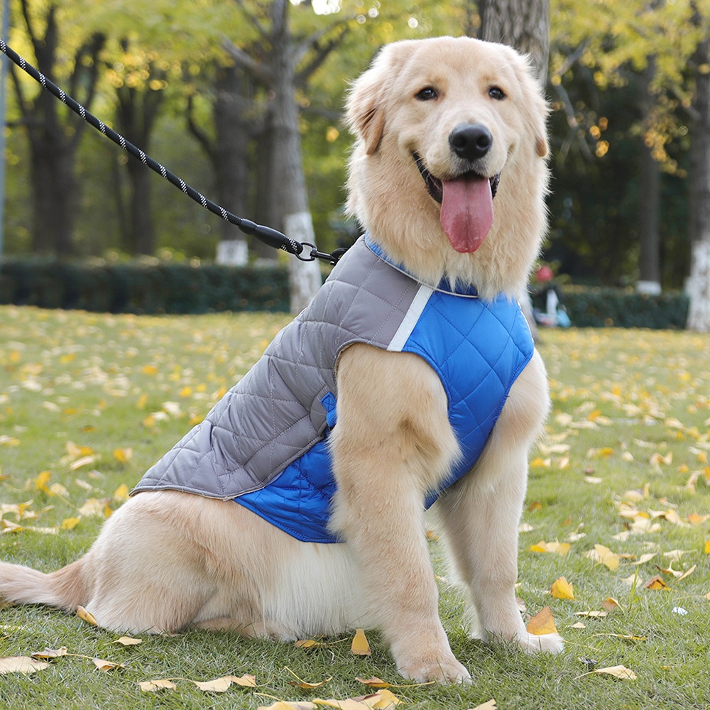 Warm Quilted Dog Coat with Reflective Trim & Adjustable Fit