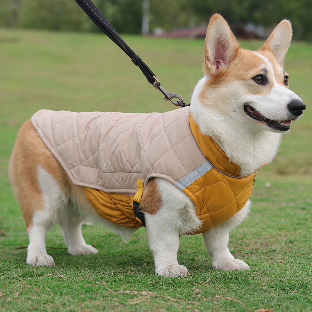 Warm Quilted Dog Coat with Reflective Trim & Adjustable Fit