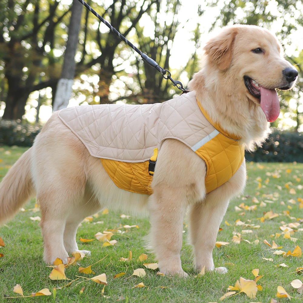 Warm Quilted Dog Coat with Reflective Trim & Adjustable Fit