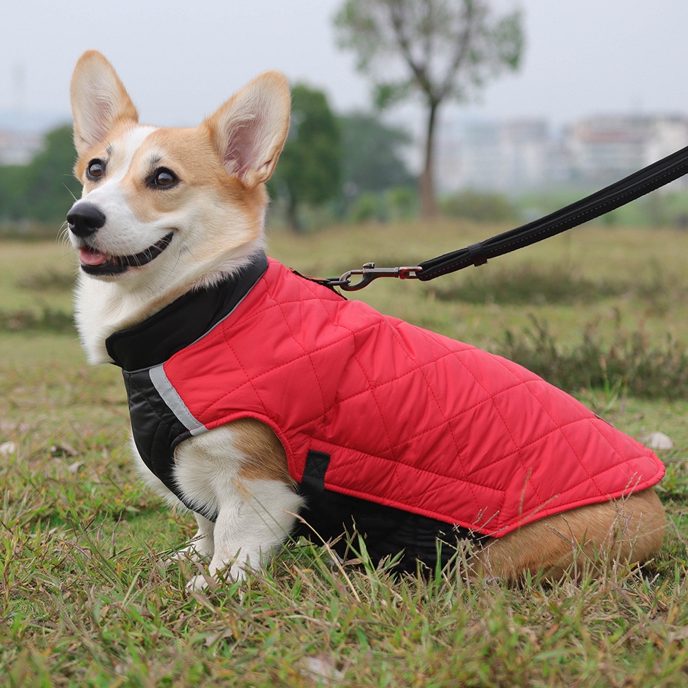 Warm Quilted Dog Coat with Reflective Trim & Adjustable Fit