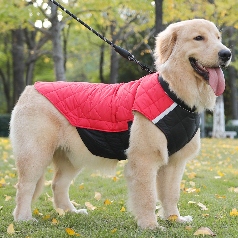 Warm Quilted Dog Coat with Reflective Trim & Adjustable Fit