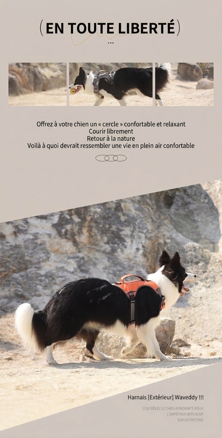 Durable Reflective Dog Harness with Handle & Pockets