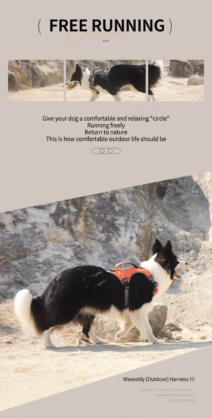 Durable Reflective Dog Harness with Handle & Pockets