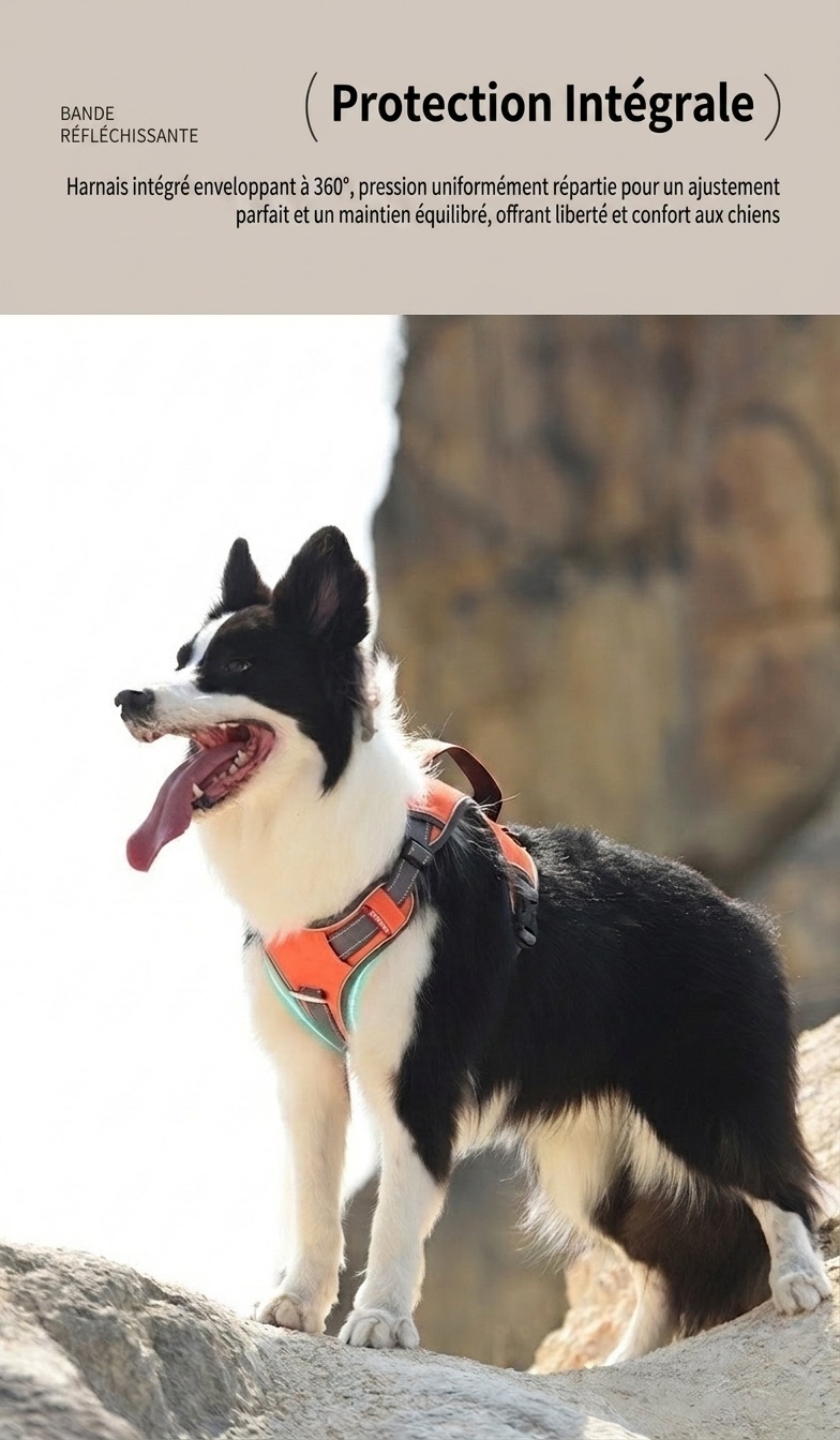 Durable Reflective Dog Harness with Handle & Pockets