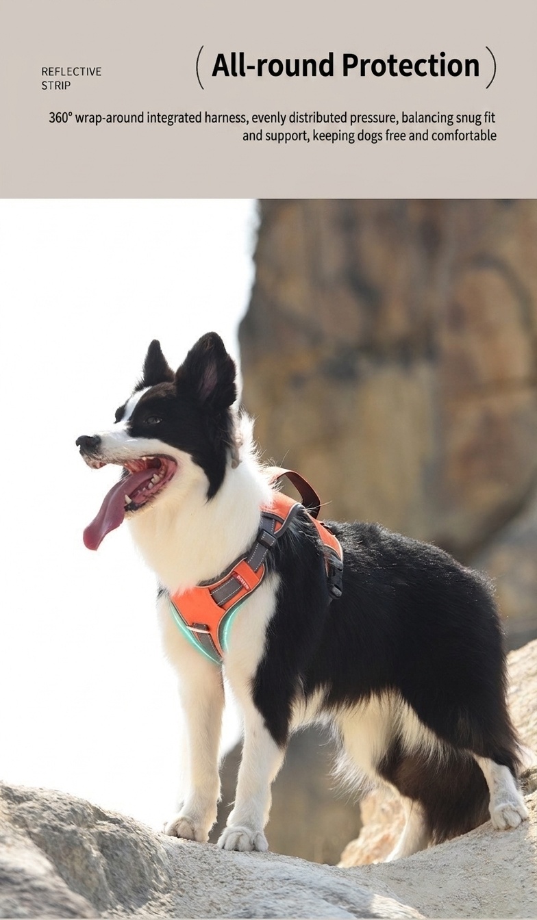 Durable Reflective Dog Harness with Handle & Pockets