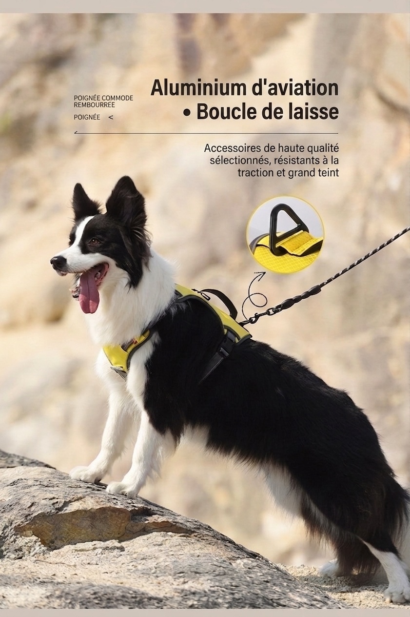 Durable Reflective Dog Harness with Handle & Pockets