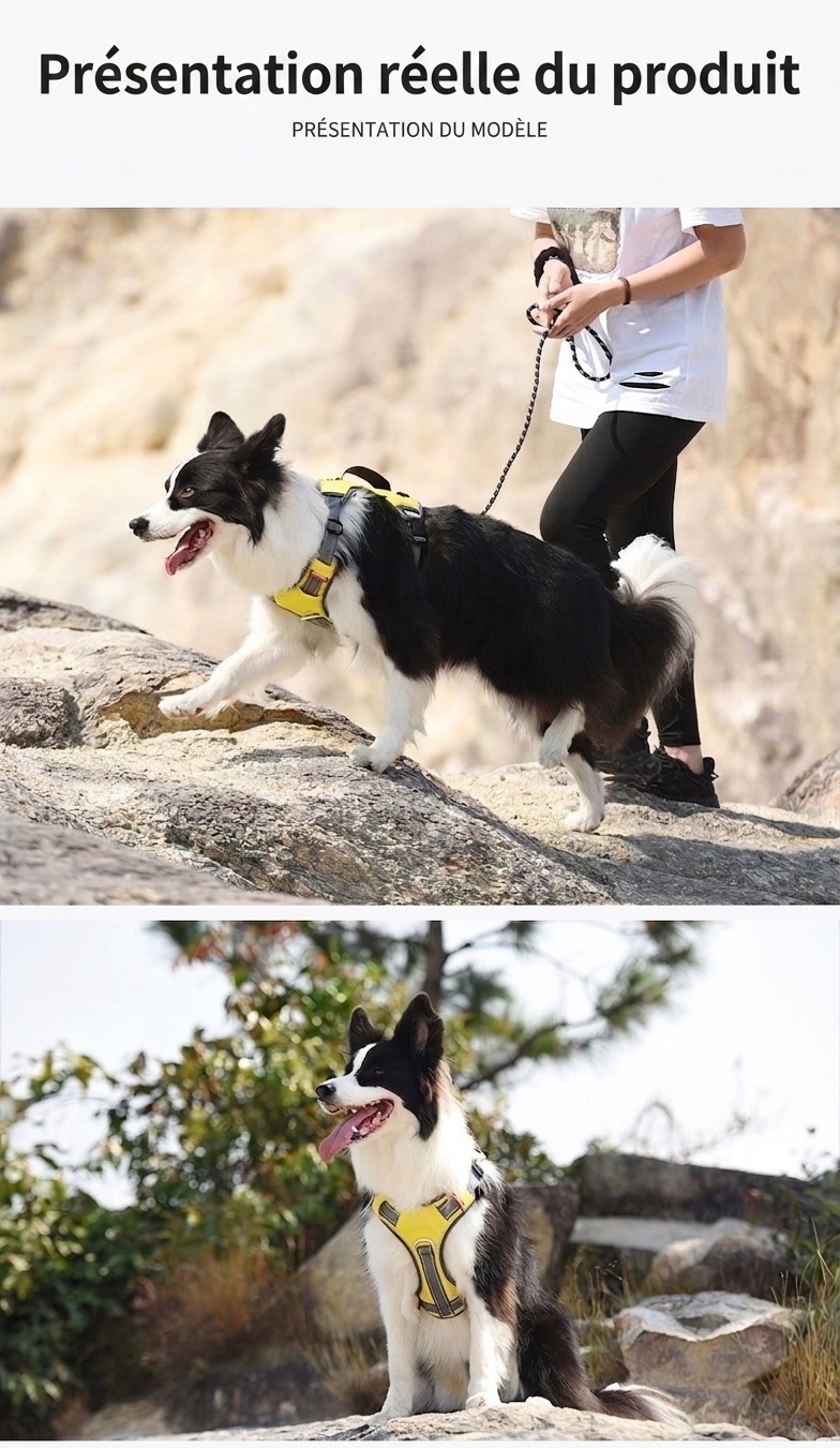 Durable Reflective Dog Harness with Handle & Pockets
