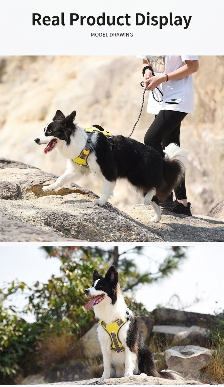 Durable Reflective Dog Harness with Handle & Pockets
