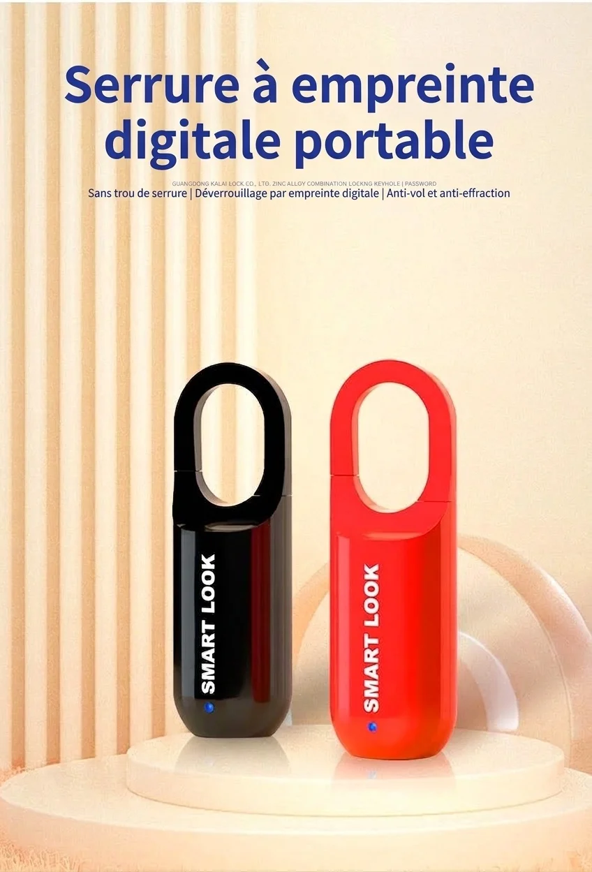 Cadenas intelligent à empreinte digitale, entrée biométrique sans clé, déverrouillage ultra-rapide en 0,3 s, cadenas de sécurité rechargeable par USB pour casier de salle de sport, sac à dos, valise, alliage de zinc