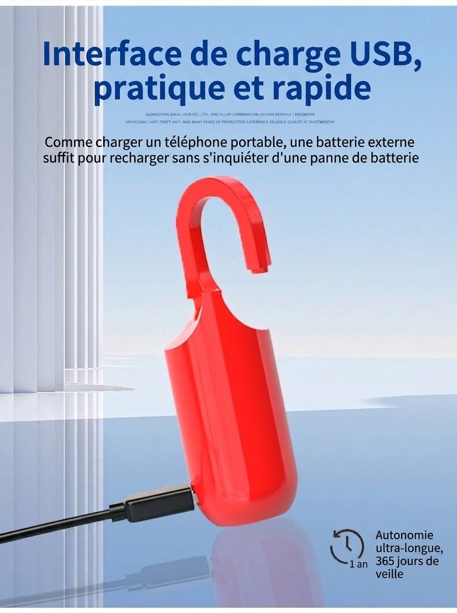 Cadenas intelligent à empreinte digitale, entrée biométrique sans clé, déverrouillage ultra-rapide en 0,3 s, cadenas de sécurité rechargeable par USB pour casier de salle de sport, sac à dos, valise, alliage de zinc