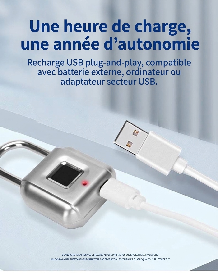 Cadenas biométrique à empreinte digitale, étanche IP26, sans clé, autonomie d'un an en veille, rechargeable par USB, anse robuste en alliage de zinc, idéal pour la salle de sport, l'école et les voyages.