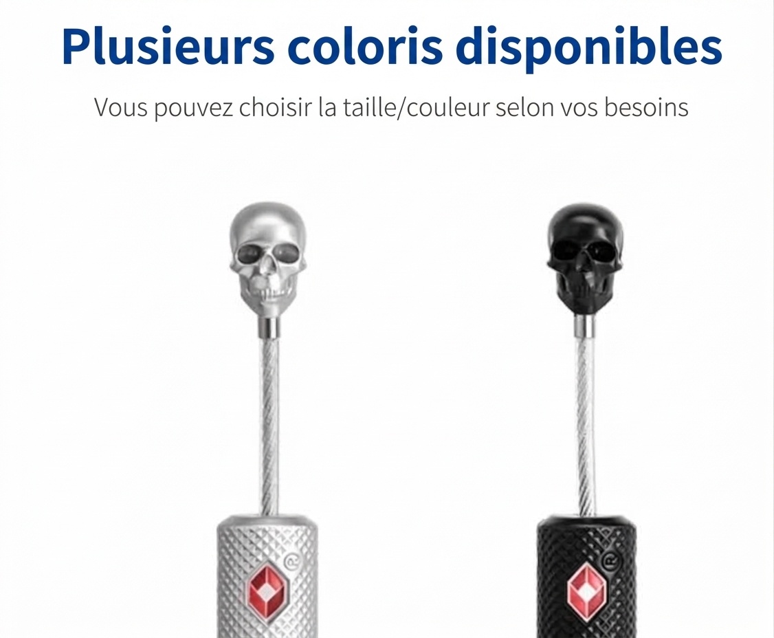 Cadenas de bagage tête de mort homologué TSA, cadenas de sécurité de voyage unique, combinaison à 3 chiffres réinitialisable, alliage de zinc durable pour valise et sac à dos