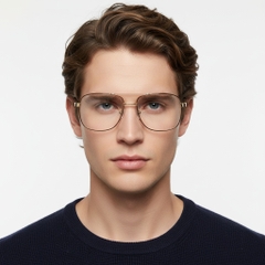 BS2425-0242_Brown_Aviator_Metal_Glasses_model