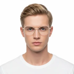 BS2425-0308_Brown_Butterfly_Metal_Glasses_model