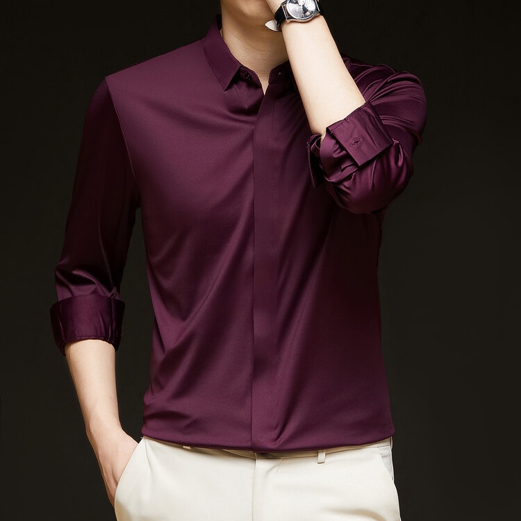 Men's Solid Long Sleeve Hidden Placket Dress Shirt