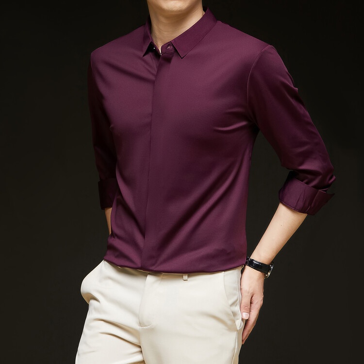 Men's Solid Long Sleeve Hidden Placket Dress Shirt