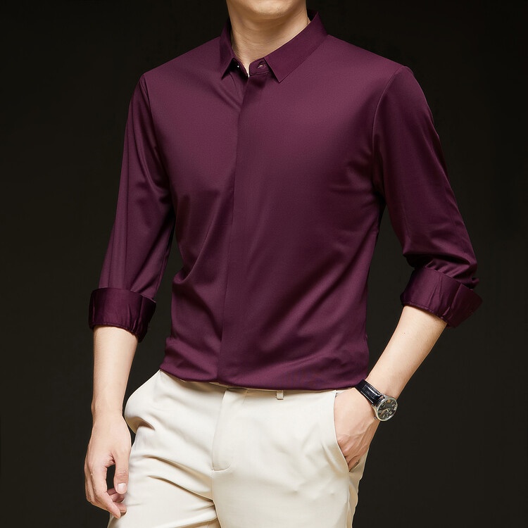 Men's Solid Long Sleeve Hidden Placket Dress Shirt