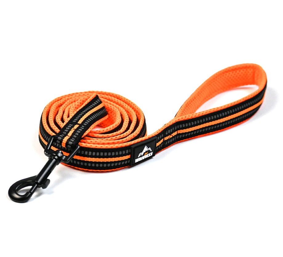 Reflective Padded Pet Leash for Dogs - Comfort & Safety