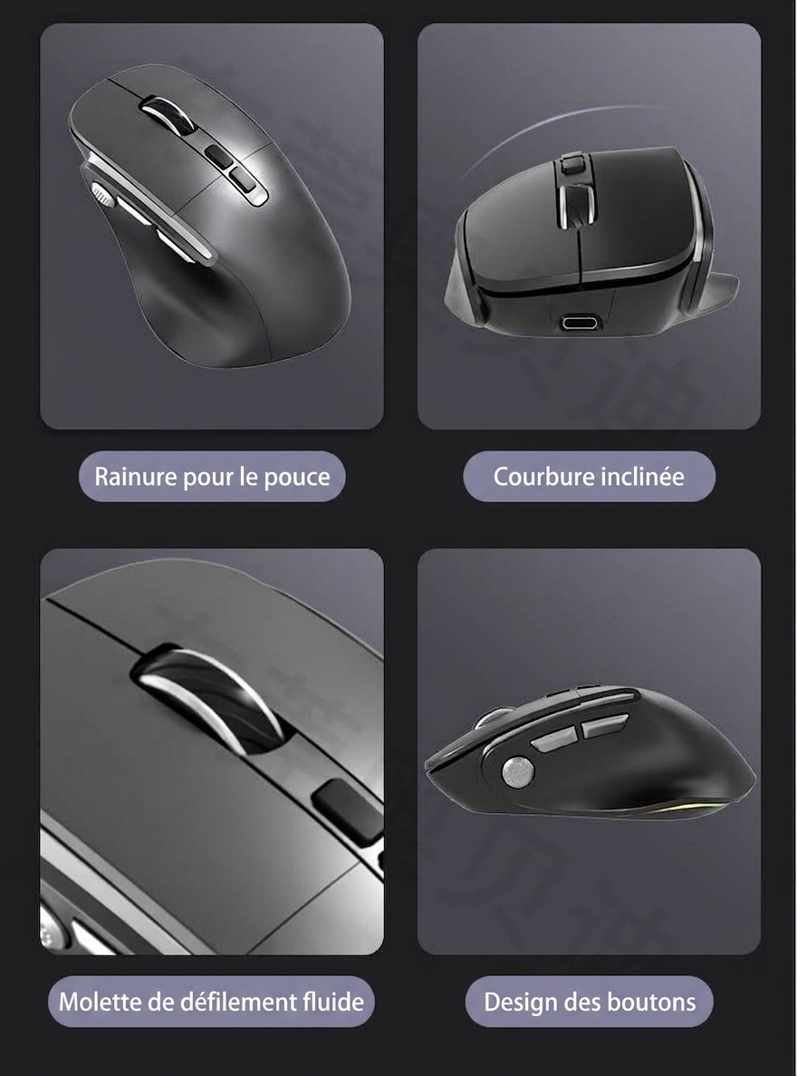 Souris sans fil verticale ergonomique, multimode 2,4 GHz/Bluetooth 5.3/filaire, éclairage RVB, batterie rechargeable 600 mAh - Modèle 7078 RVB