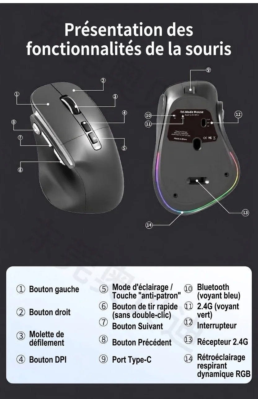 Souris sans fil verticale ergonomique, multimode 2,4 GHz/Bluetooth 5.3/filaire, éclairage RVB, batterie rechargeable 600 mAh - Modèle 7078 RVB