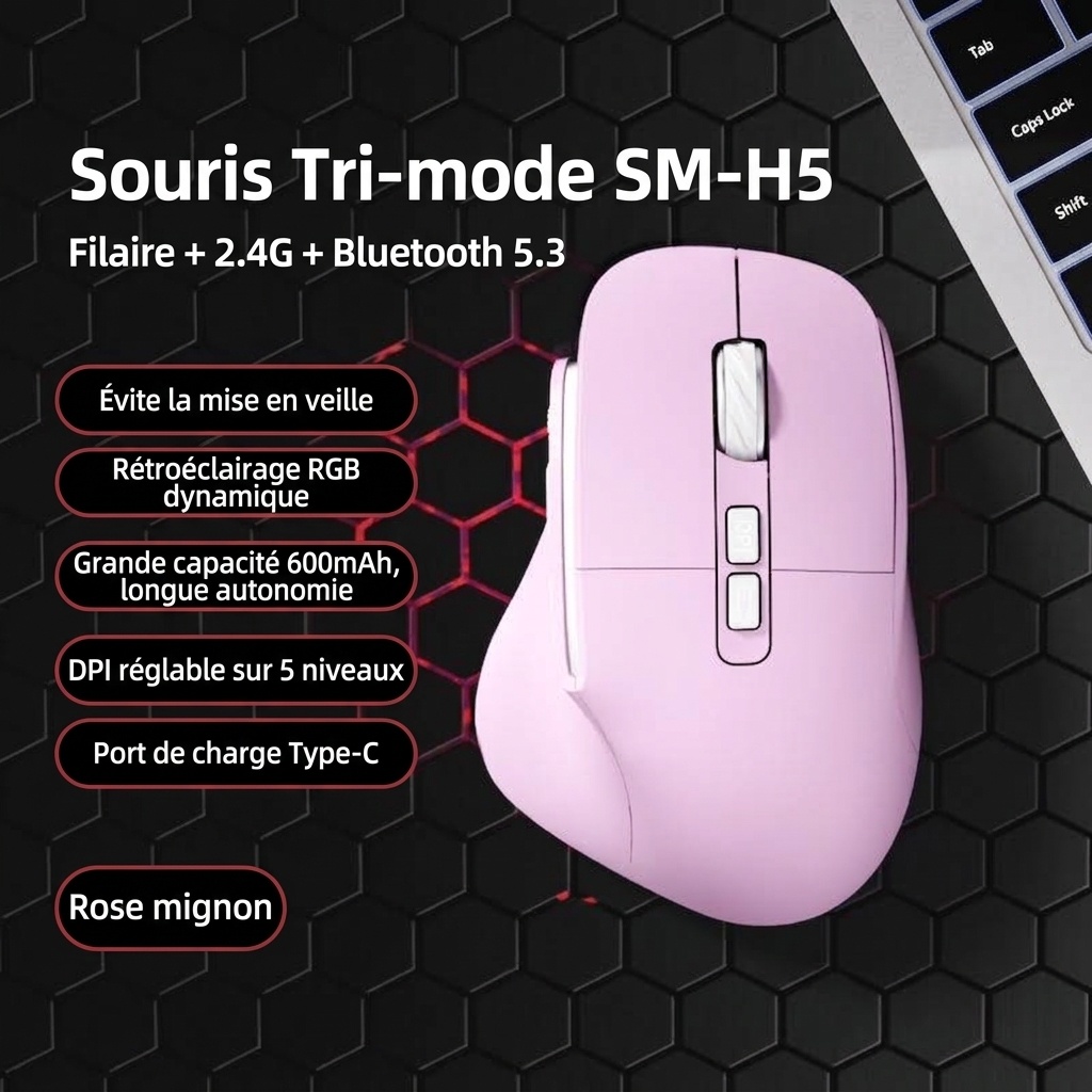 Souris sans fil verticale ergonomique, multimode 2,4 GHz/Bluetooth 5.3/filaire, éclairage RVB, batterie rechargeable 600 mAh - Modèle 7078 RVB