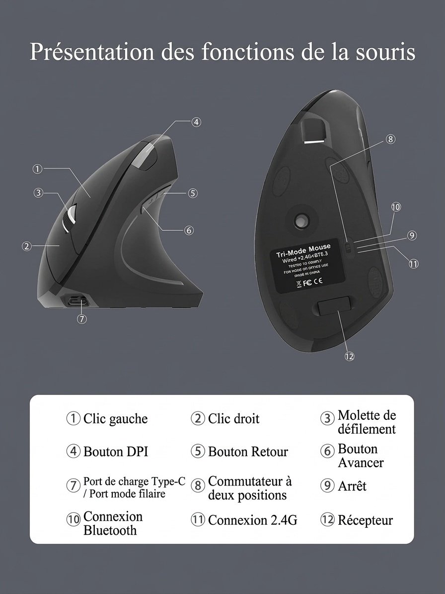 Souris verticale ergonomique, tri-mode 2,4 GHz/Bluetooth 5.3/filaire, 4 800 DPI, clic silencieux, rechargeable - Série Elite