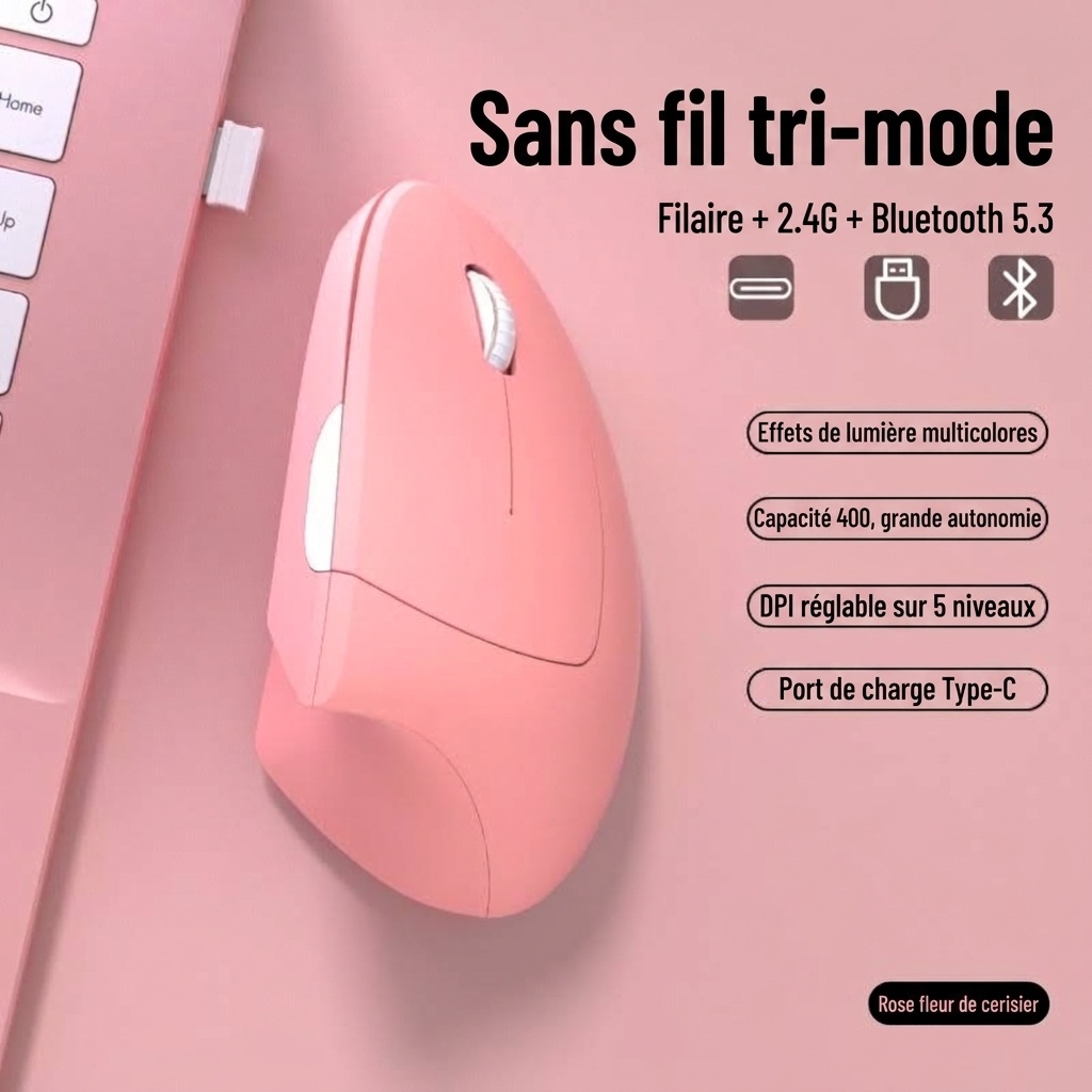 Souris verticale ergonomique, tri-mode 2,4 GHz/Bluetooth 5.3/filaire, 4&nbsp;800 DPI, clic silencieux, rechargeable - Série Elite