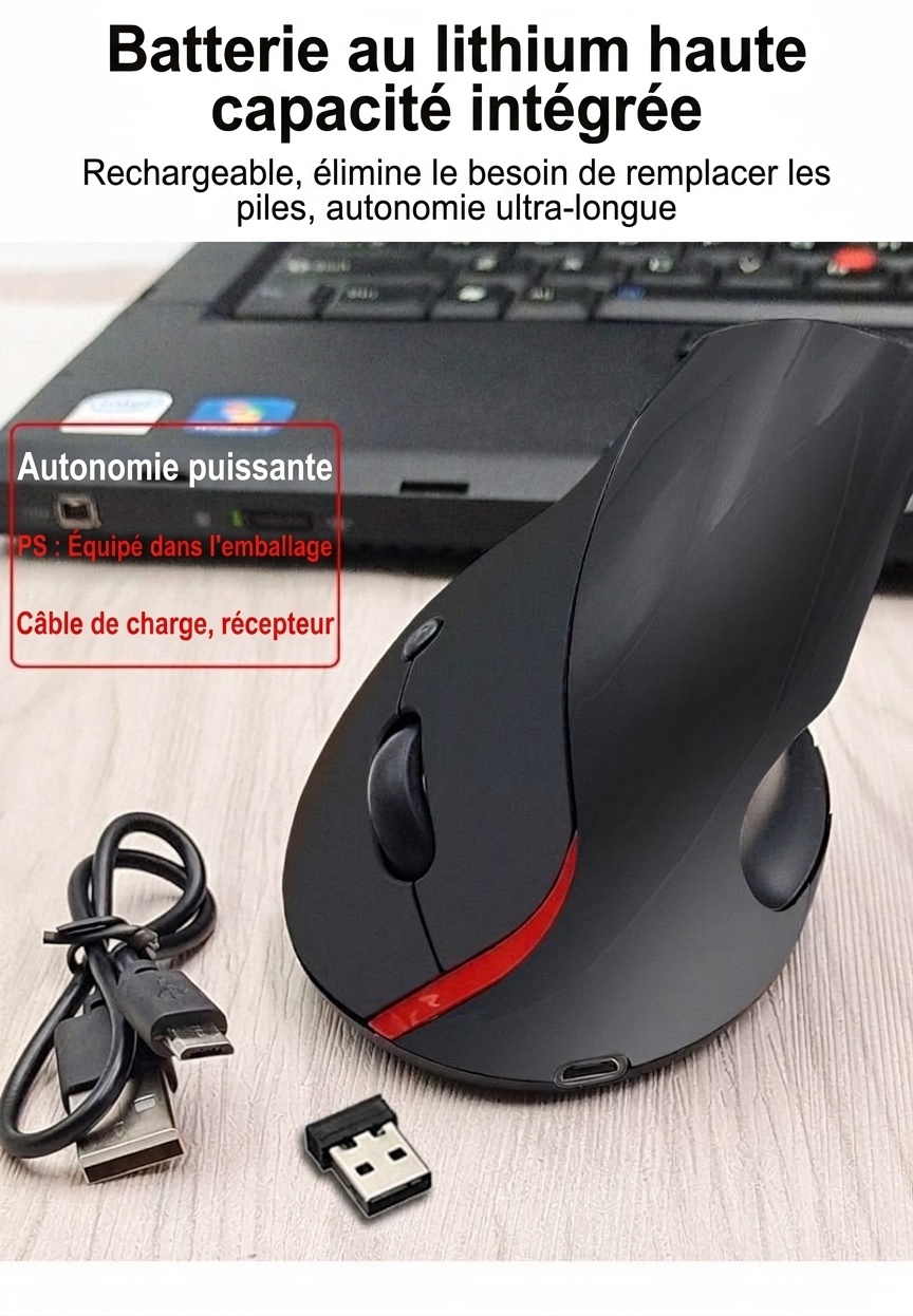 Souris sans fil verticale ergonomique, sans fil 2,4 GHz, rechargeable par USB, prise en main naturelle - Gris mystique Pro