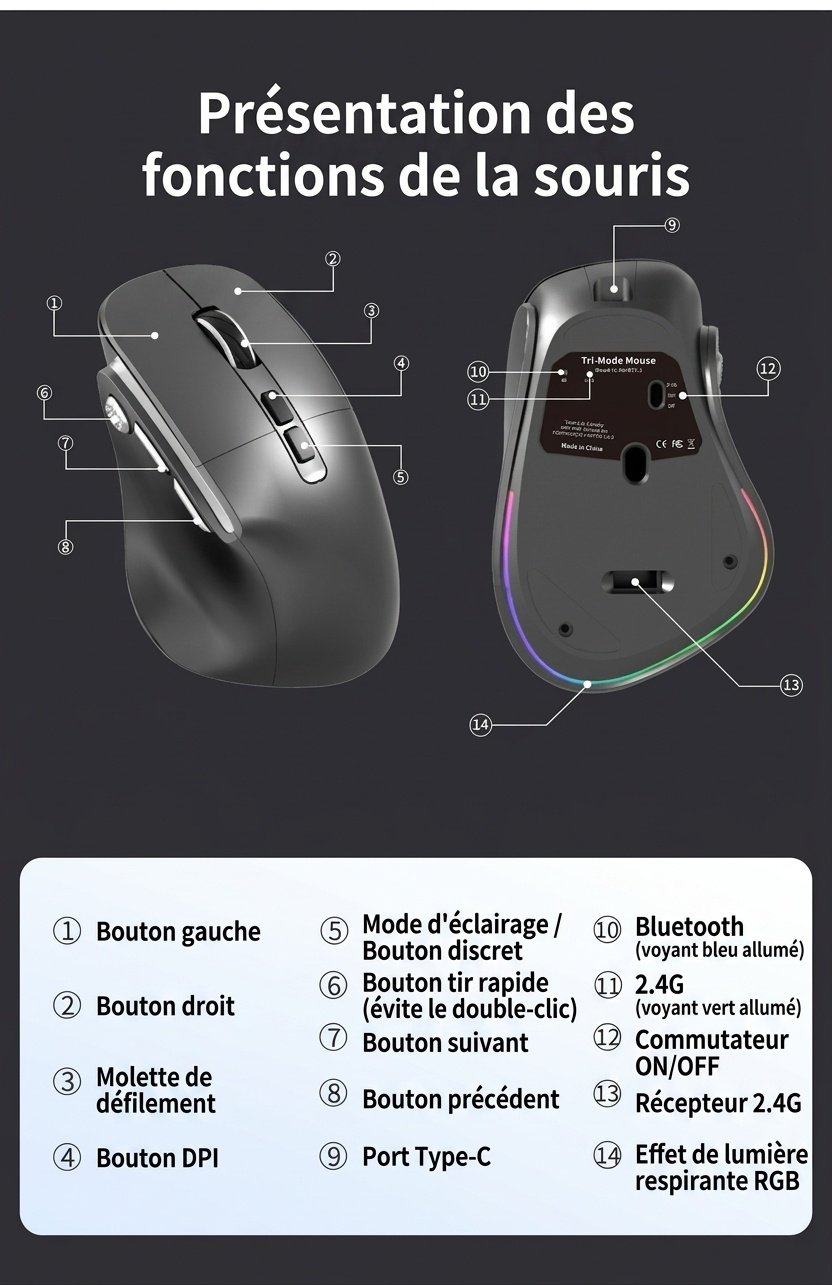 Souris verticale sans fil ergonomique, multimode BT 5.3/2.4G/filaire, éclairage RVB, 5 niveaux de DPI - Modèle H5 Pro