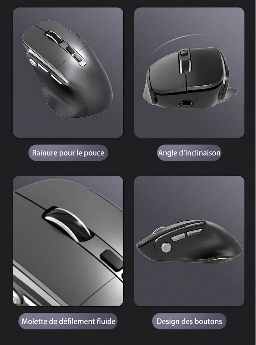 Souris verticale sans fil ergonomique, multimode BT 5.3/2.4G/filaire, éclairage RVB, 5 niveaux de DPI - Modèle H5 Pro
