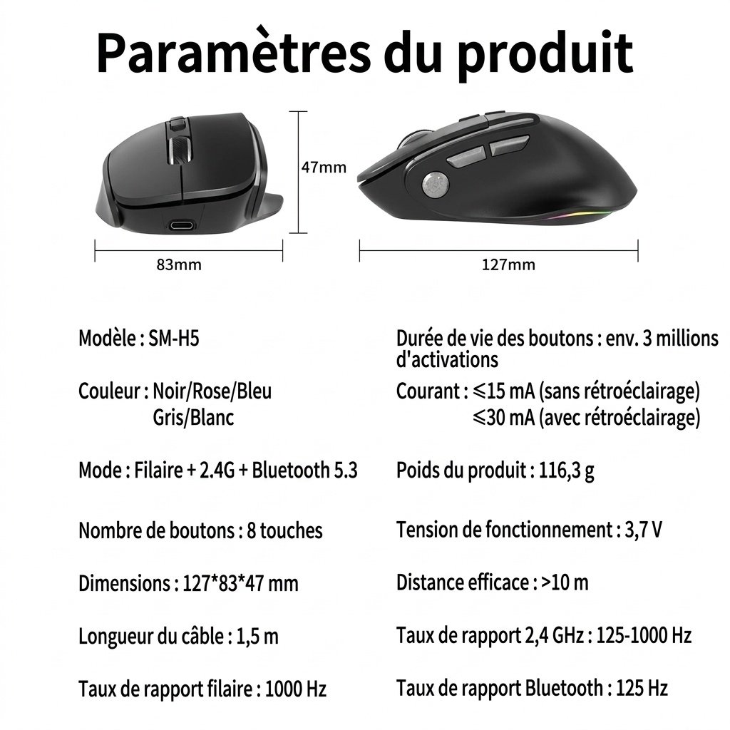 Souris verticale sans fil ergonomique, multimode BT 5.3/2.4G/filaire, éclairage RVB, 5 niveaux de DPI - Modèle H5 Pro